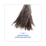 Boardwalk® Professional Ostrich Feather Duster, 16" Wood Handle, 12" Gray Bristle (BWK31FD) Each