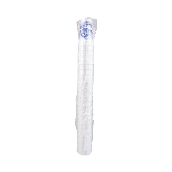 Dart® Horizon Hot/Cold Foam Drinking Cups, 20 oz, Printed, Blueberry/White, 25/Bag, 20 Bags/Carton (DCC20J16H)