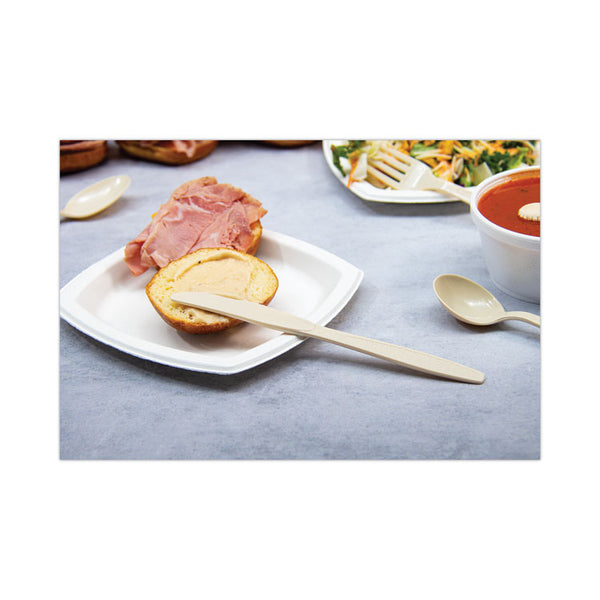 SOLO® Guildware Cutlery Sweetheart Polystyrene Tableware, Knives, Champagne, 1000/Carton (SCCGD6KN)