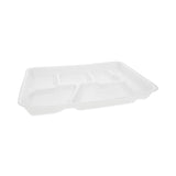 Pactiv Evergreen Foam School Trays, 6-Compartment, 8.5 x 11.5 x 1.25, White, 500/Carton (PCT0TH10601SGBX)