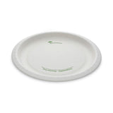 Pactiv Evergreen EarthChoice Pressware Compostable Dinnerware, Plate, 10" dia, White, 300/Carton (PCTPSP10EC) Case of 300