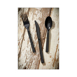 Pactiv Evergreen Meadoware Cutlery, Soup Spoon, Medium Heavy Weight, Black, 1,000/Carton (PCTYMWSSE)