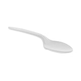 Pactiv Evergreen Fieldware Cutlery, Spoon, Mediumweight, White, 1,000/Carton (PCTYFWSWCH) Case of 1000