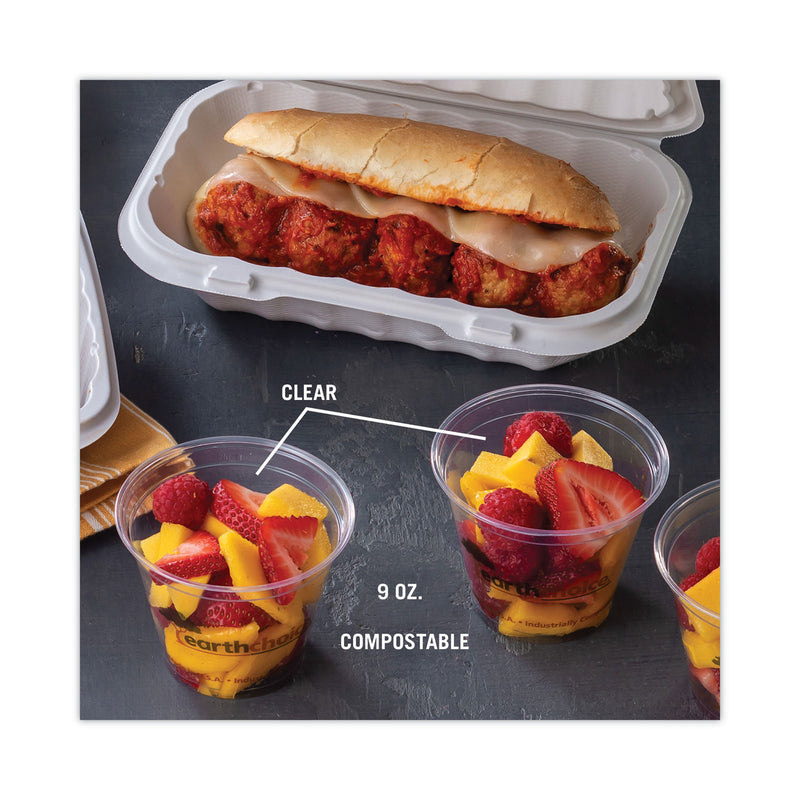 Pactiv EarthChoice Compostable Cold Cups, 9 oz, Clear/Printed, 975/Carton (PCTYPLA9CEC) Case of 975