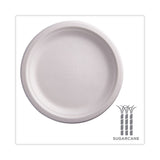 Eco-Products® Renewable Sugarcane Plates, 9" dia, Natural White, 500/Carton (ECOEPP013)