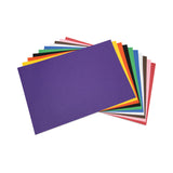 Pacon® Tru-Ray Construction Paper, 76 lb Text Weight, 12 x 18, Assorted Standard Colors, 50/Pack (PAC103063) Pack of 50