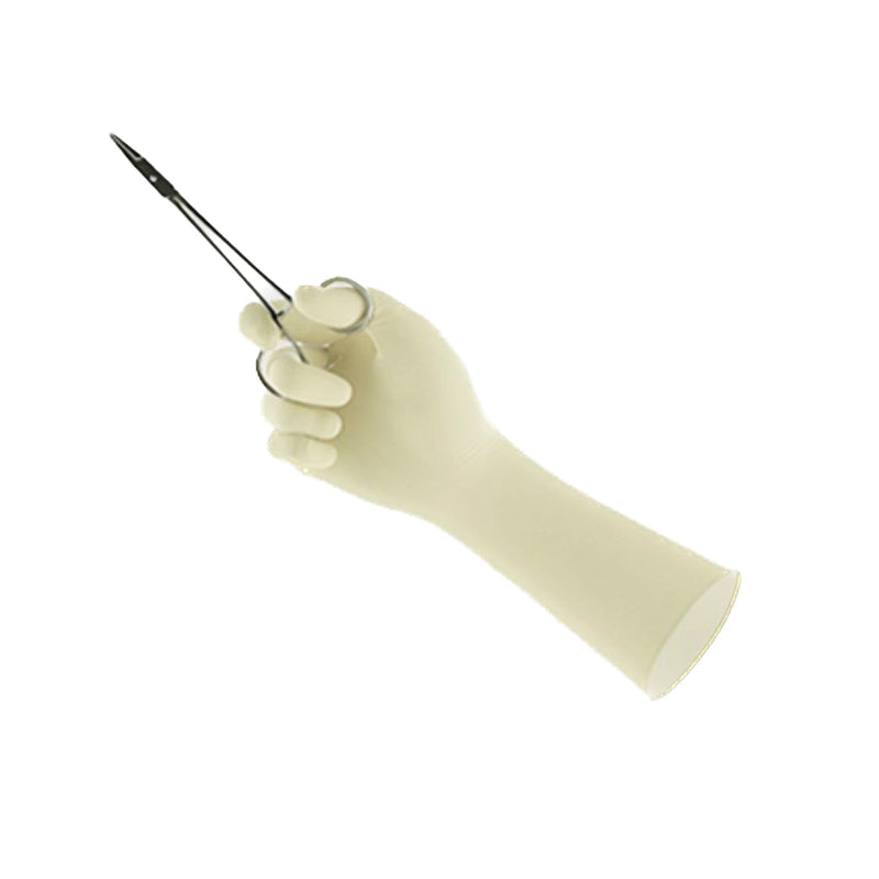 ENCORE® Perry® Style 42® PF Surgical Glove Size 7 Sterile Latex Standard Cuff Length Micro-Textured Natural Chemo Tested (1012596_CS) 200/CS