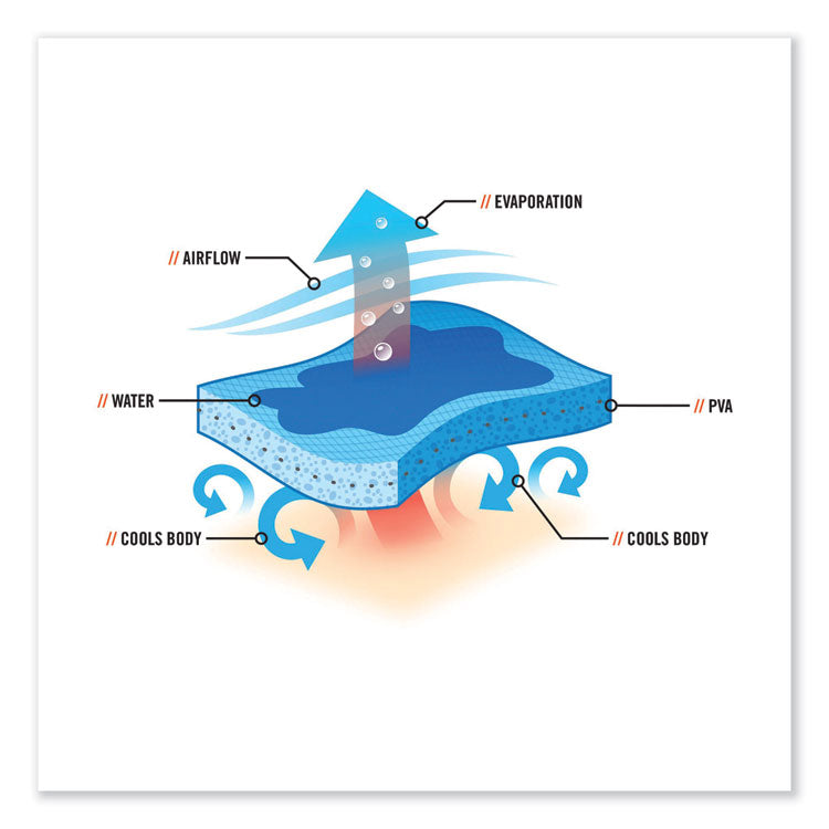 ergodyne® Chill-Its 6601 Economy Evaporative PVA Cooling Towel, 29.5 x 13, One Size Fits Most, PVA, Blue, Ships in 1-3 Business Days (EGO12411) Each