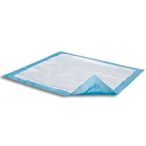 Attends® Care Dri-Sorb® Disposable Underpad 17 X 24 Inch Cellulose / Polymer Heavy Absorbency (408163_BG) 10/BG