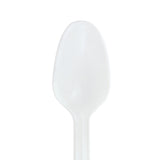McKesson Teaspoon General Purpose White Polypropylene (491977_CS) 1/CS