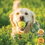Tough Stuff® Skunked! Deodorizing Pet Shampoo, Original, 16 oz Bottle (HOS816SHP) Each