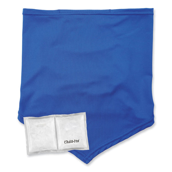 ergodyne® Chill-Its 6482 Cooling Neck Gaiter Bandana Pocket Kit, Polyester/Spandex, Large/X-Large, Blue, Ships in 1-3 Business Days (EGO42136) Each