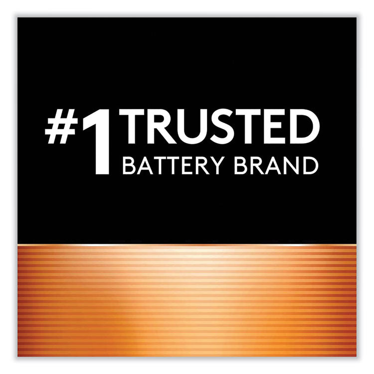 Duracell® CopperTop Alkaline D Batteries, 2/Pack (DURMN1300B2Z) Pack of 2