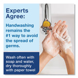 Tork® Premium Antibacterial Foam Soap Refill, Unscented, 1 L, 6/Carton (TRK401815) Case of 6
