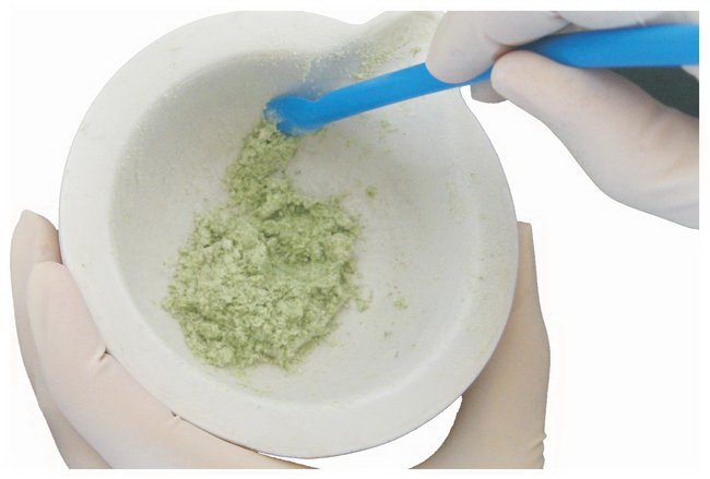 LevGo® smartSpatula® Lab Spatula 7 X 210 mm, Blue, Autoclavable, Disposable (1028719_PK) 300/PK