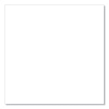 Sharpie® Permanent Paint Marker, Extra-Broad Chisel Tip, White (SAN35568) Each
