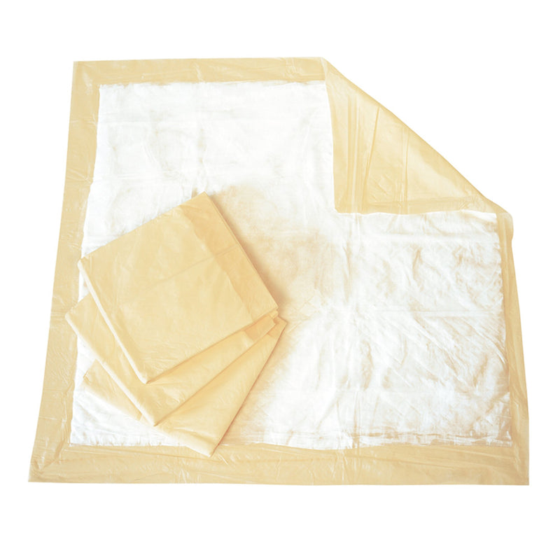 Tranquility® Essential Disposable Underpad 36 X 36 Inch Super Absorbent Material Moderate Absorbency (696237_BG) 10/BG