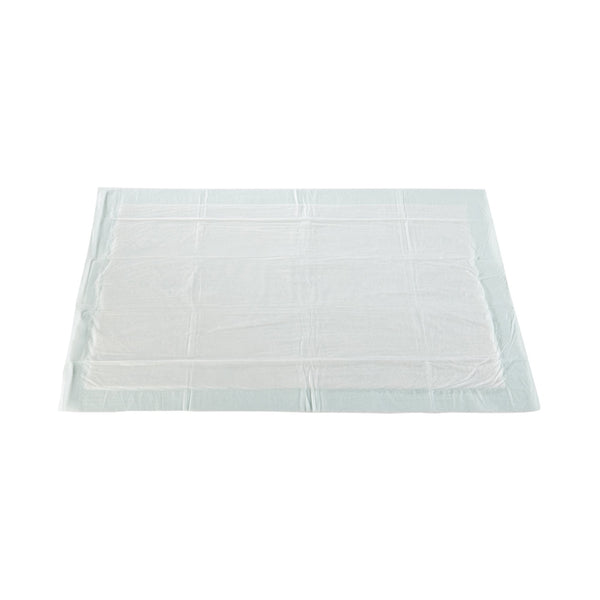 McKesson Super Disposable Underpad 23 X 36 Inch Fluff / Polymer Moderate Absorbency (724035_BG) 10/BG
