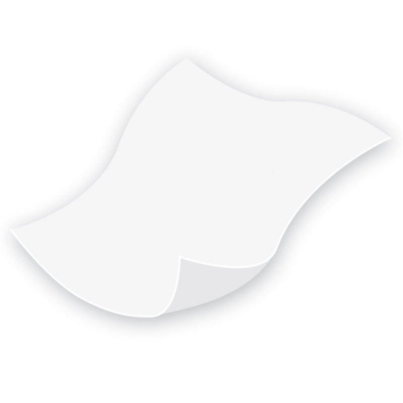 TENA ProSkin™ Classic Personal Cleansing Wipe Soft Pack Scented 96 Count (1000920_BG) 96/BG