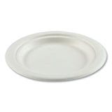 Boardwalk® Bagasse PFAS-Free Dinnerware, Plate, 6" dia, White, 1,000/Carton (BWKPLATEWF6NPFA)