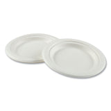 Boardwalk® Bagasse PFAS-Free Dinnerware, Plate, 6" dia, White, 1,000/Carton (BWKPLATEWF6NPFA)