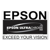 Epson® T53KD20 (T53K) UltraChrome DS Ink, Violet, 2/Pack (EPST53KD20) Each