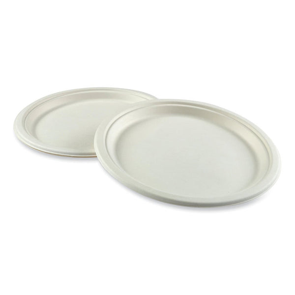 AmerCareRoyal® Bagasse PFAS-Free Dinnerware, Plate, 10.27" dia, White, 500/Carton (RPPPL10NPFA)