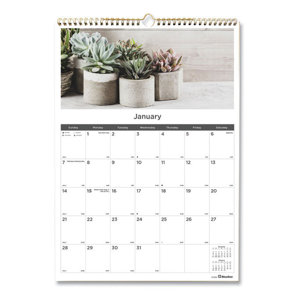 Blueline® 12-Month Wall Calendar, Succulent Plants Photography, 12 x 17, White/Multicolor Sheets, 12-Month (Jan to Dec): 2024 (REDC173121)
