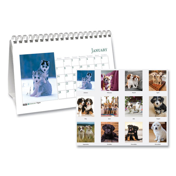 House of Doolittle™ Earthscapes Recycled Desk Tent Monthly Calendar, Puppies Photography, 8.5 x 4.5, White Sheets, 12-Month (Jan to Dec): 2026 (HOD3659) Each