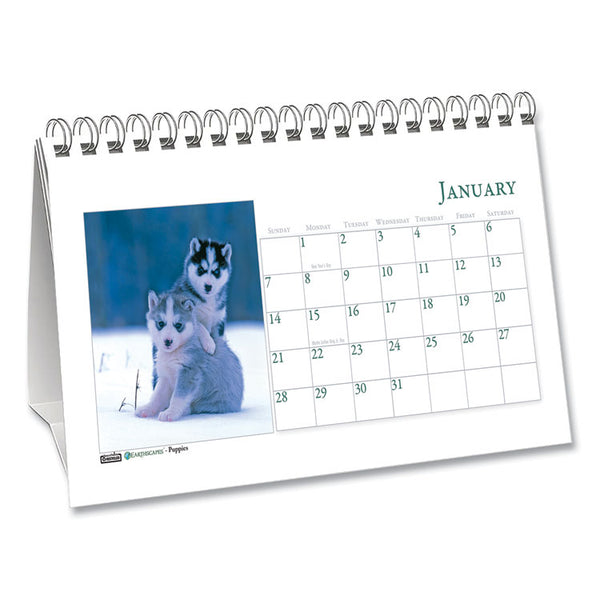 House of Doolittle™ Earthscapes Recycled Desk Tent Monthly Calendar, Puppies Photography, 8.5 x 4.5, White Sheets, 12-Month (Jan to Dec): 2026 (HOD3659) Each