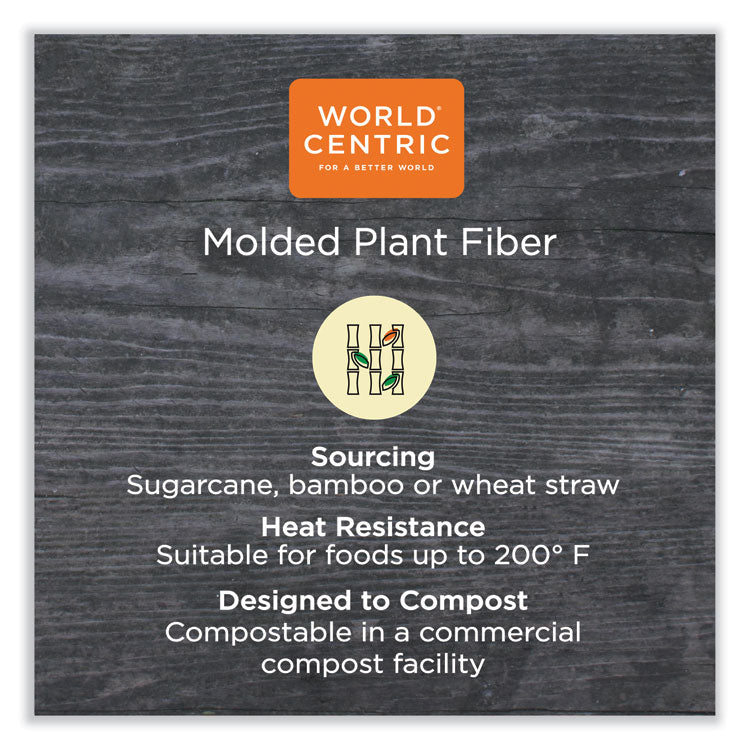 World Centric® Fiber Plates, Plate, 10.1" Diameter, Natural, 800/Carton (WORPLSCU10LFP)