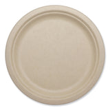 World Centric® Fiber Plates, Plate, 10.1" Diameter, Natural, 800/Carton (WORPLSCU10LFP)