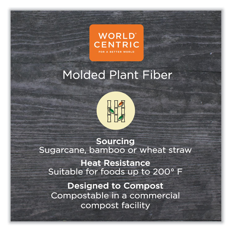World Centric® Fiber Hinged Containers, 13.7 x 6.6 x 1.3, Natural, Paper, 200/Carton (WORPBSCU13LFS) Case of 200
