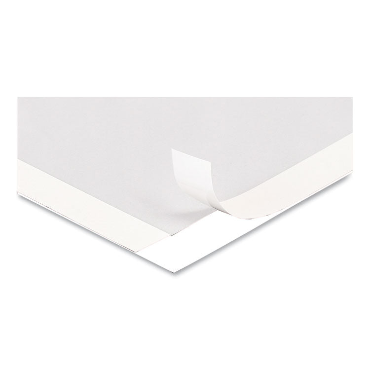 deflecto® Self Adhesive Sign Holders, 11 x 17, Clear with White Border, 2/Pack (DEF68886W) Pack of 2