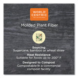 World Centric® Fiber Plates, 10" dia, Natural, 700/Carton (WORPLSCU10TLFP)