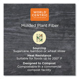 World Centric® Fiber Plates, 12" Oval, Natural, 500/Carton (WORPLSCU12OLFP)