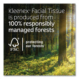 Kleenex® Trusted Care Facial Tissue, 2-Ply, White, 160 Sheets/Box, 3 Boxes/Pack, 12 Packs/Carton (KCM54303) Case of 12