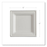 Eco-Products® Vanguard Renewable and Compostable Sugarcane Plates, 6 x 6, White, 500/Carton (ECOEPP021NFA) Case of 500