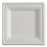 Eco-Products® Vanguard Renewable and Compostable Sugarcane Plates, 6 x 6, White, 500/Carton (ECOEPP021NFA) Case of 500
