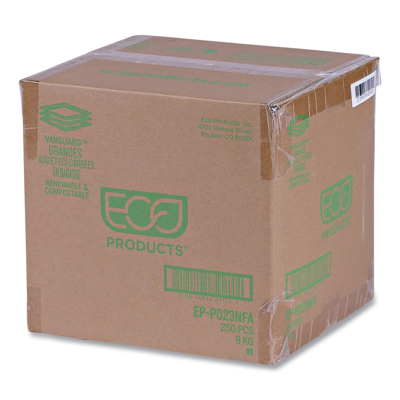 Eco-Products® Vanguard Renewable and Compostable Sugarcane Plates, 10 x 10, White, 250/Carton (ECOEPP023NFA) Case of 250
