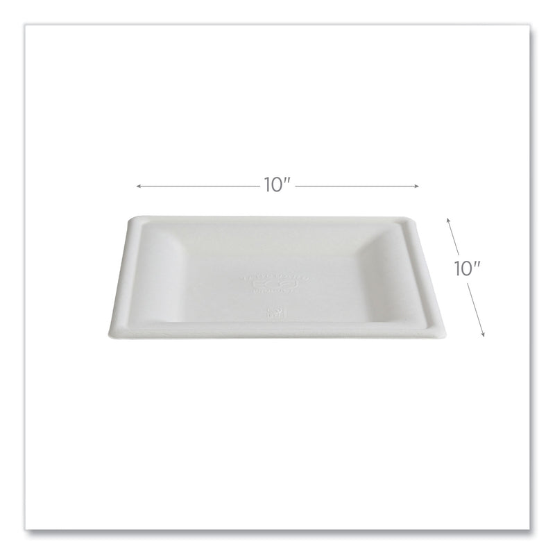 Eco-Products® Vanguard Renewable and Compostable Sugarcane Plates, 10 x 10, White, 250/Carton (ECOEPP023NFA) Case of 250