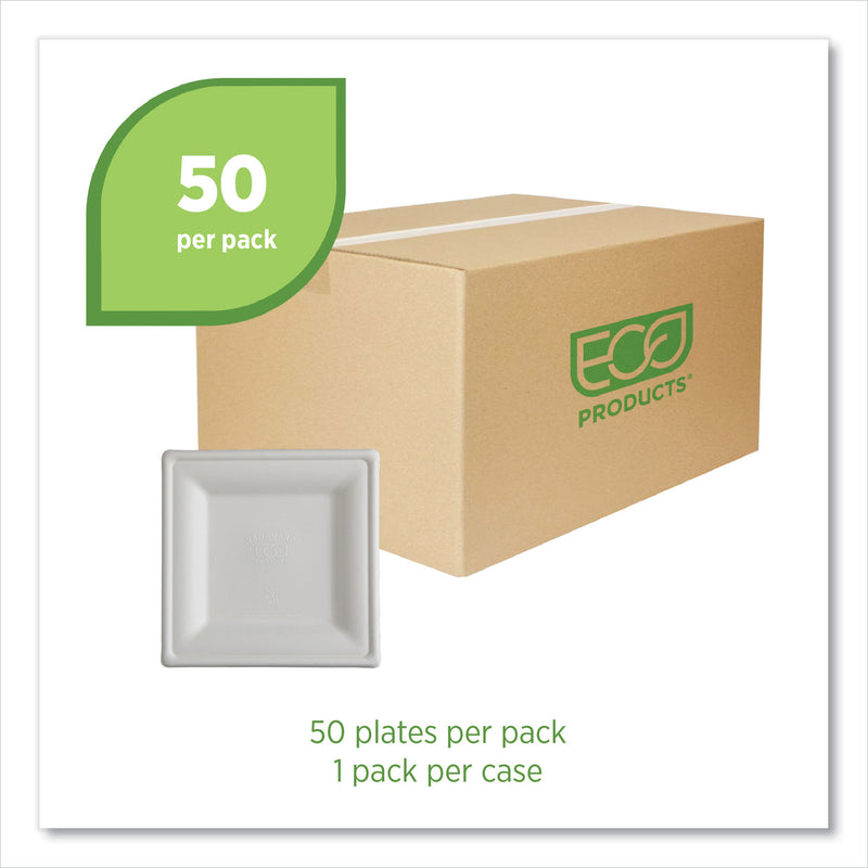 Eco-Products® Vanguard Renewable and Compostable Sugarcane Plates, 10 x 10, White, 250/Carton (ECOEPP023NFA) Case of 250