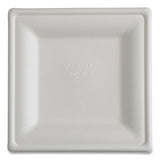 Eco-Products® Vanguard Renewable and Compostable Sugarcane Plates, 10 x 10, White, 250/Carton (ECOEPP023NFA) Case of 250