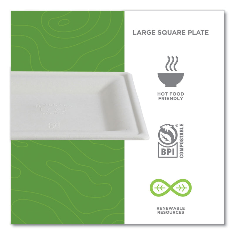 Eco-Products® Vanguard Renewable and Compostable Sugarcane Plates, 10 x 10, White, 250/Carton (ECOEPP023NFA) Case of 250