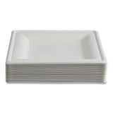 Eco-Products® Vanguard Renewable and Compostable Sugarcane Plates, 10 x 10, White, 250/Carton (ECOEPP023NFA) Case of 250