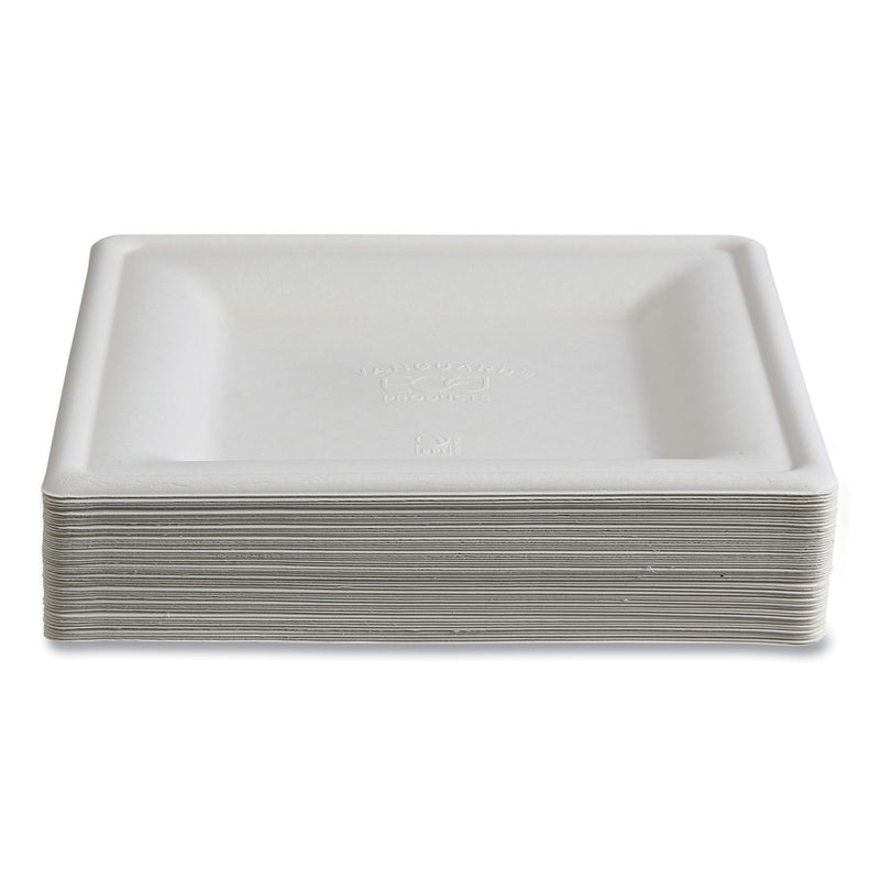 Eco-Products® Vanguard Renewable and Compostable Sugarcane Plates, 10 x 10, White, 250/Carton (ECOEPP023NFA) Case of 250