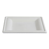 Eco-Products® Vanguard Renewable and Compostable Sugarcane Plates, 10 x 10, White, 250/Carton (ECOEPP023NFA) Case of 250