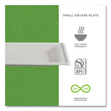 Eco-Products® Vanguard Renewable and Compostable Sugarcane Plates, 6 x 6, White, 500/Carton (ECOEPP021NFA) Case of 500