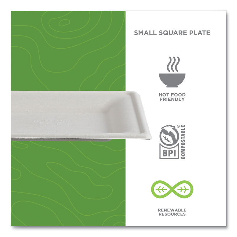 Eco-Products® Vanguard Renewable and Compostable Sugarcane Plates, 6 x 6, White, 500/Carton (ECOEPP021NFA) Case of 500
