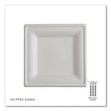 Eco-Products® Vanguard Renewable and Compostable Sugarcane Plates, 10 x 10, White, 250/Carton (ECOEPP023NFA) Case of 250